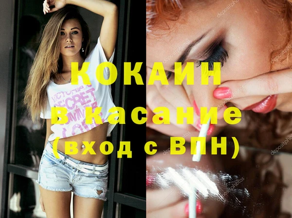 ГАЛЛЮЦИНОГЕННЫЕ ГРИБЫ Кукмор