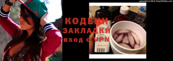 ГАЛЛЮЦИНОГЕННЫЕ ГРИБЫ Кукмор