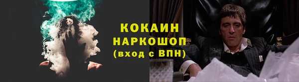 ГАЛЛЮЦИНОГЕННЫЕ ГРИБЫ Кукмор