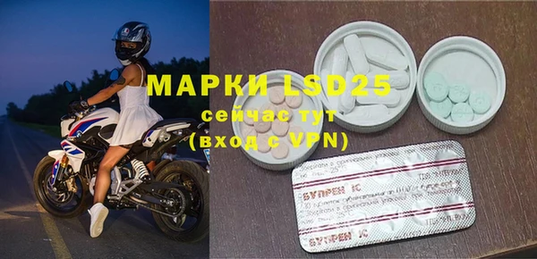 ГАЛЛЮЦИНОГЕННЫЕ ГРИБЫ Кукмор