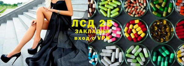 ГАЛЛЮЦИНОГЕННЫЕ ГРИБЫ Кукмор