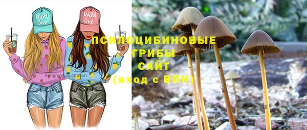 ГАЛЛЮЦИНОГЕННЫЕ ГРИБЫ Кукмор