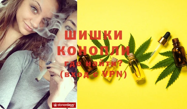 ГАЛЛЮЦИНОГЕННЫЕ ГРИБЫ Кукмор
